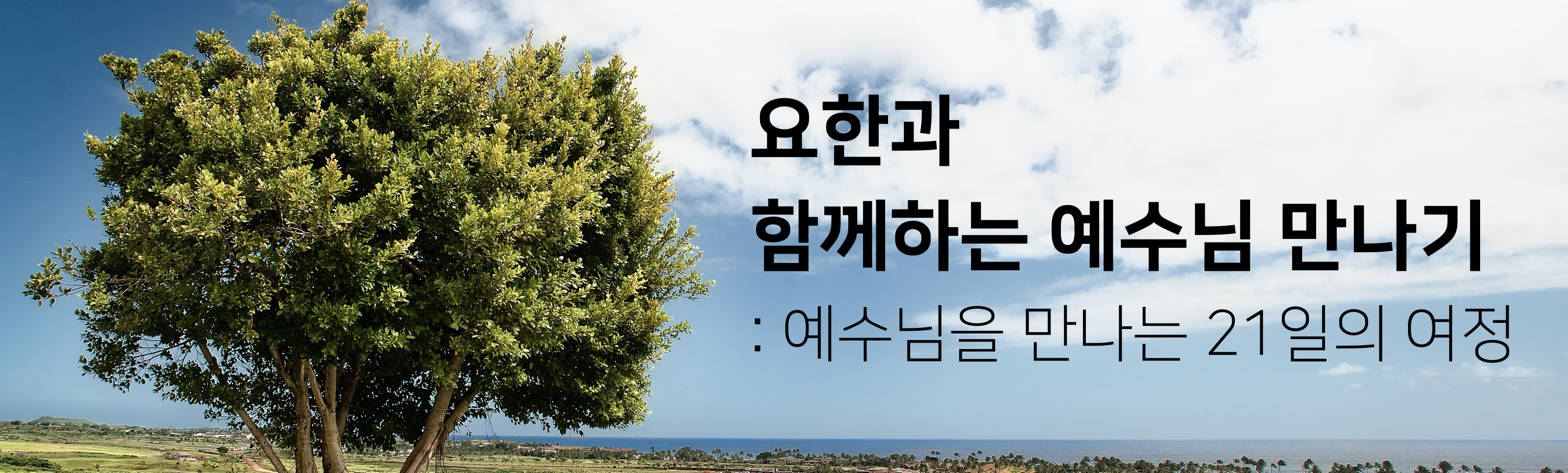 스크린샷 2020-04-02 오후 3.45.55.png